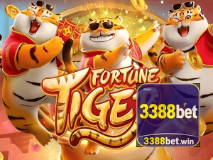 Guia install APK 3388BET BR